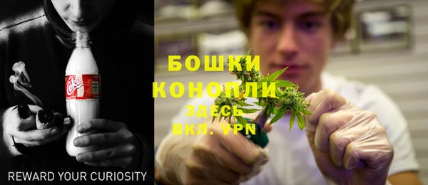 стаф Приозерск