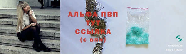 стаф Приозерск