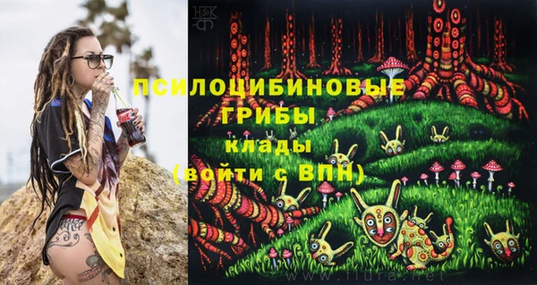 ECSTASY Протвино