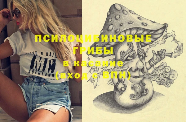 стаф Приозерск