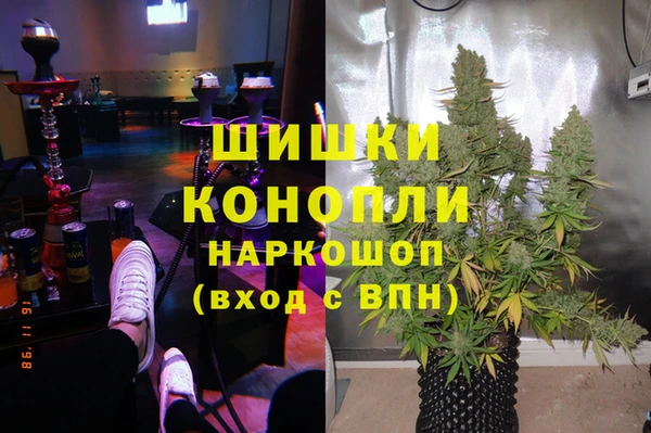 стаф Приозерск